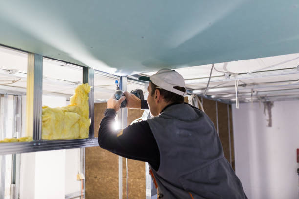 Best Eco-Friendly Insulation in Burbank, WA