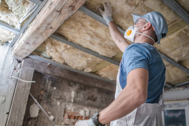 Best Specialized Insulation Services in Burbank, WA